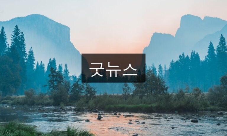 굿뉴스 신청방법 완벽가이드 | 3분 완성